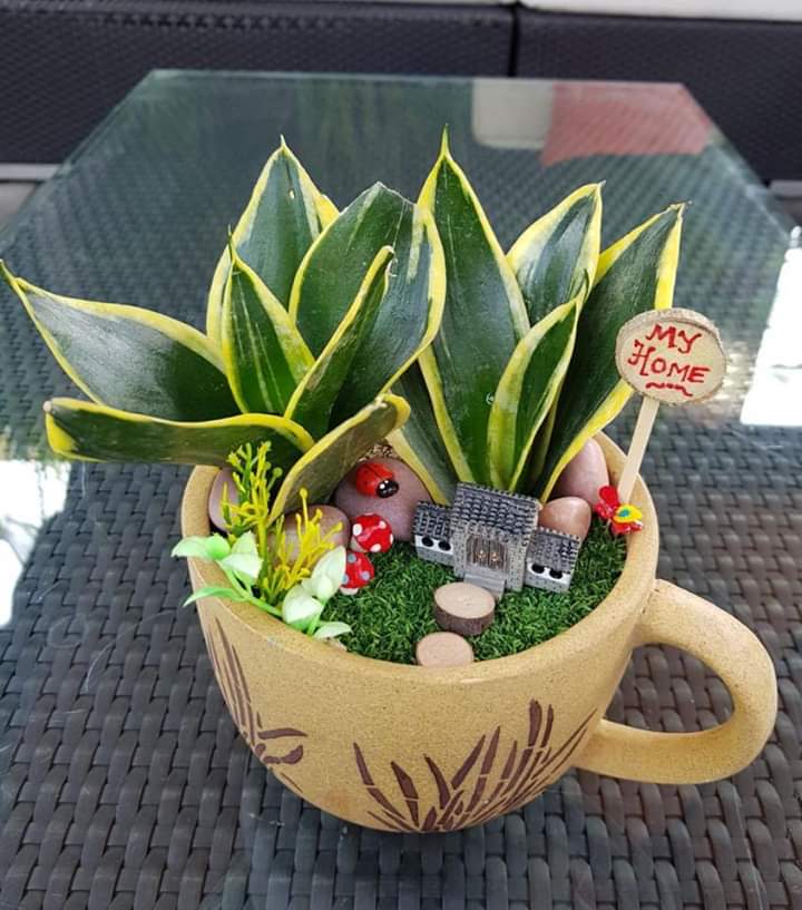 Go green plants
